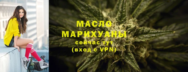 мдпв Бородино