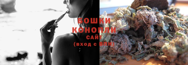 мдпв Бородино