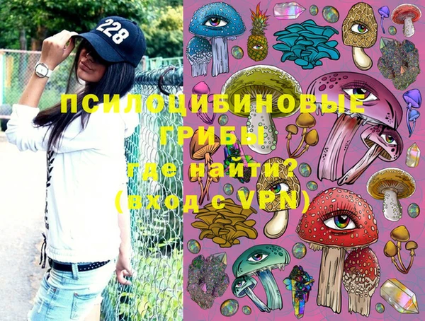 мдпв Бородино