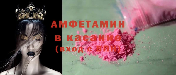 мдпв Бородино