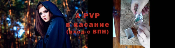 мескалин Тайга