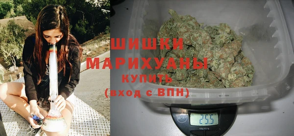 дурь Сясьстрой