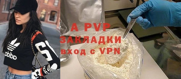 мдпв Бородино