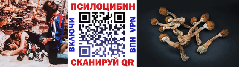 Псилоцибиновые грибы Cubensis  даркнет сайт  Меленки 